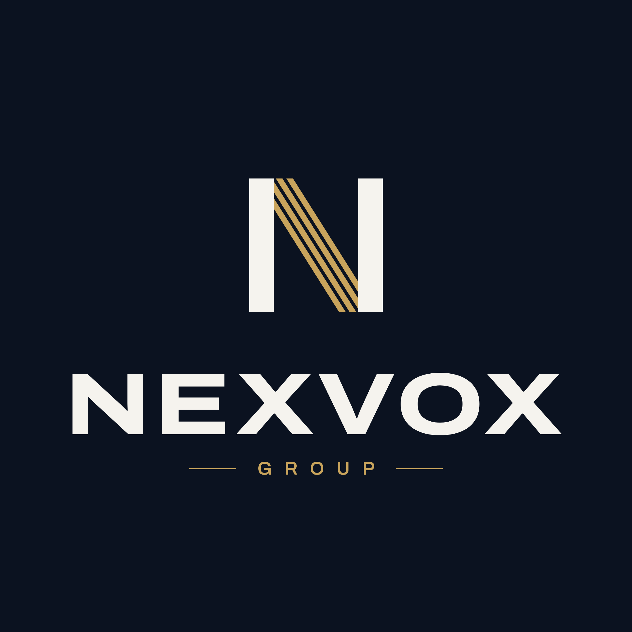 Logo NexVox Group